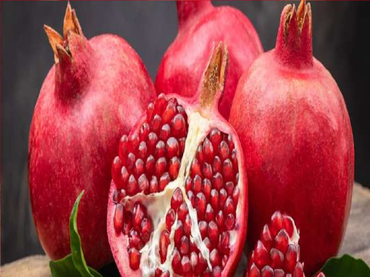 अनार (Pomegranate) को हिंदी में क्या कहते हैं