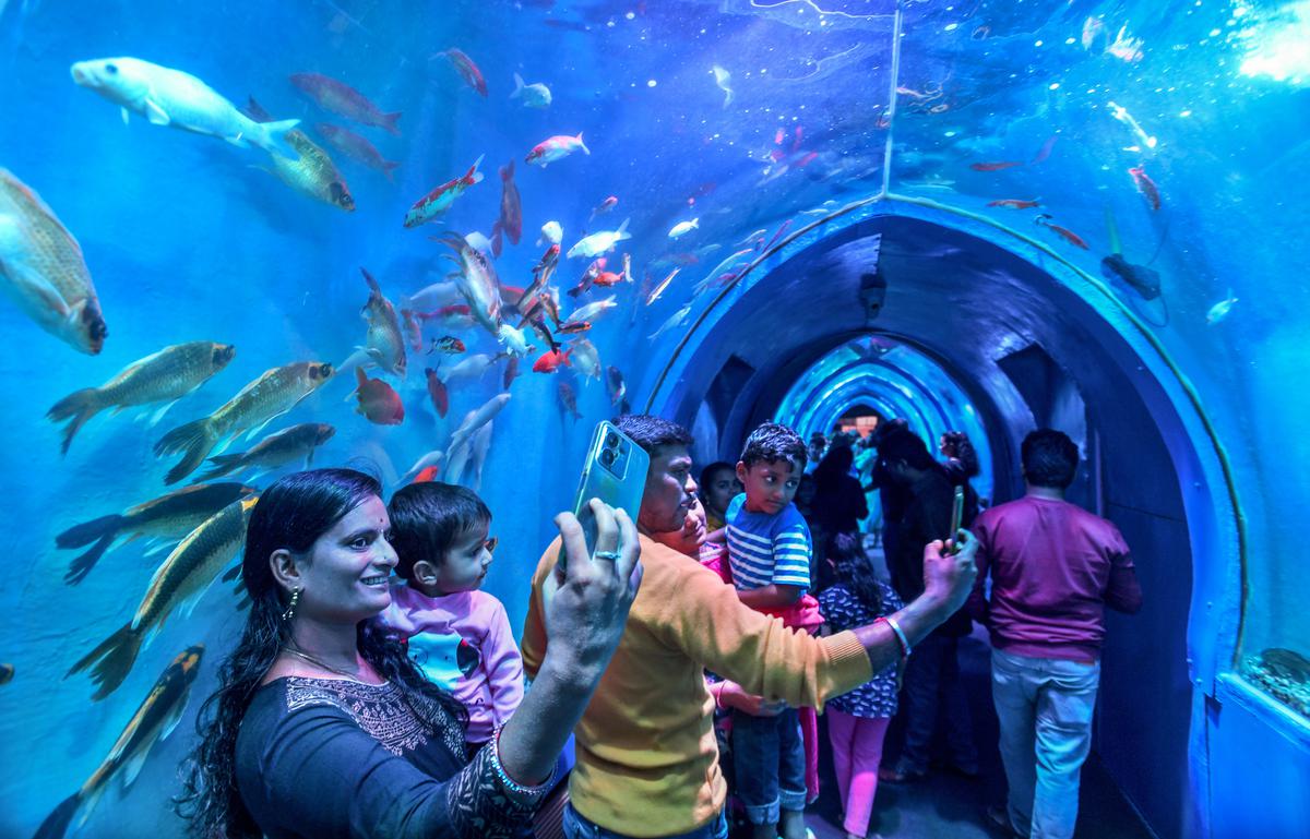 Underwater Tunnel Aquarium Delhi